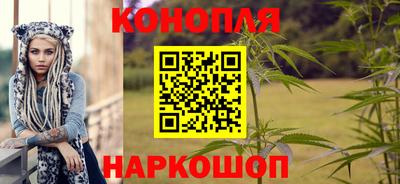 индика Лесосибирск