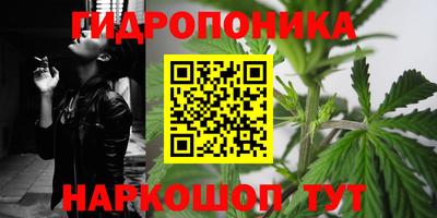 индика Лесосибирск