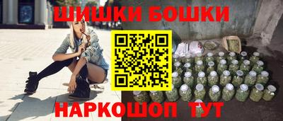 индика Лесосибирск